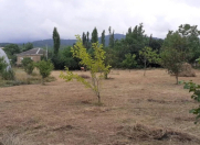 Satılır 12 sot torpaq Quba