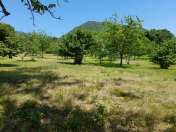 Satılır 20 sot torpaq İsmayıllı