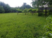 Satılır 8 sot torpaq Qax