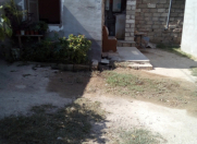 Satılır 3.6 sot torpaq Buzovna