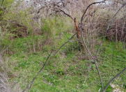 Satılır 20 sot torpaq Tovuz