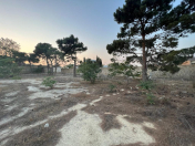 Satılır 400 sot torpaq Zabrat 2