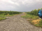 Satılır 3320 sot torpaq Qəbələ