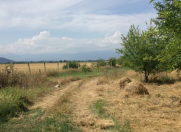 Satılır 2880 sot torpaq Qəbələ