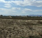 Satılır 5 sot torpaq Şabran