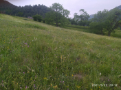 Satılır 8 sot torpaq Quba