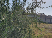 Satılır 12 sot torpaq Novxanı