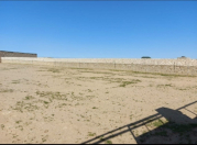 Satılır 5.5 sot torpaq Buzovna