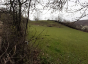 Satılır 30 sot torpaq İsmayıllı