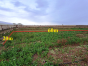 Satılır 12 sot torpaq Türkan