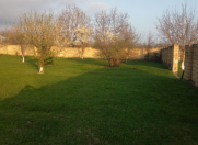 Satılır 30 sot torpaq Qəbələ