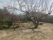 Satılır 5 sot torpaq Saray