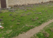 Satılır 6 sot torpaq Masazır