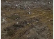 Satılır 120 sot torpaq Zabrat 2