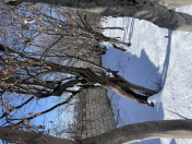 Satılır 45 sot torpaq İsmayıllı