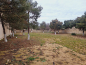 Satılır 14 sot torpaq Buzovna