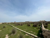 Satılır 20 sot torpaq Buzovna