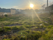 Satılır 60 sot torpaq Badamdar