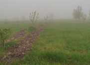 Satılır 61 sot torpaq Quba