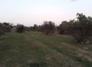 Satılır 108 sot torpaq Buzovna