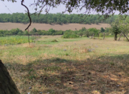 Satılır 15 sot torpaq Quba