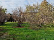 Satılır 25 sot torpaq Bilgəh