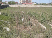 Satılır 36 sot torpaq Saray