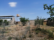 Satılır 27 sot torpaq Türkan