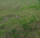 Satılır 25 sot torpaq Aygun City