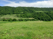 Satılır 2000 sot torpaq Quba