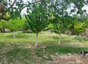 Satılır 5 sot torpaq Ramana