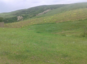 Satılır 16 sot torpaq Şamaxı