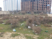 Satılır 6 sot torpaq Saray