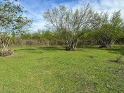 Satılır 47 sot torpaq Qəbələ