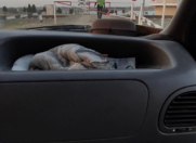 Satılır 6 sot torpaq Ceyranbatan