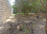 Satılır 3 sot torpaq Buzovna