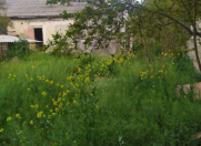 Satılır 4.5 sot torpaq Bakıxanov