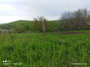 Satılır 11 sot torpaq İsmayıllı