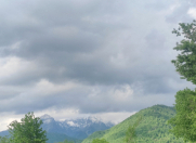 Satılır 100 sot torpaq Qəbələ