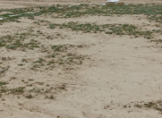 Satılır 8 sot torpaq Qobu