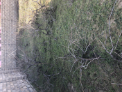 Satılır 4 sot torpaq Pirşağı