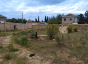 Satılır 16 sot torpaq Sumqayıt