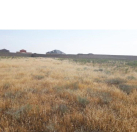 Satılır 12 sot torpaq Sea Breeze Resort