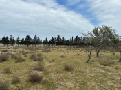 Satılır 24 sot torpaq Şüvəlan