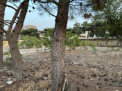 Satılır 30 sot torpaq Məhəmmədli