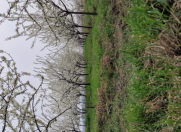 Satılır 100 sot torpaq Mingəçevir