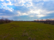 Satılır 32 sot torpaq Qəbələ