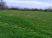 Satılır 200 sot torpaq Oğuz