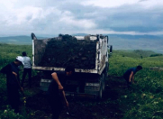 Satılır 1 sot torpaq İsmayıllı