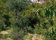 Satılır 6 sot torpaq Balakən